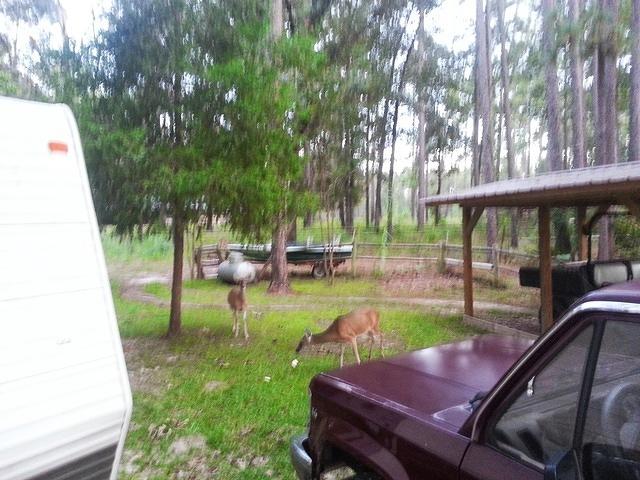 20130914 184410-edited