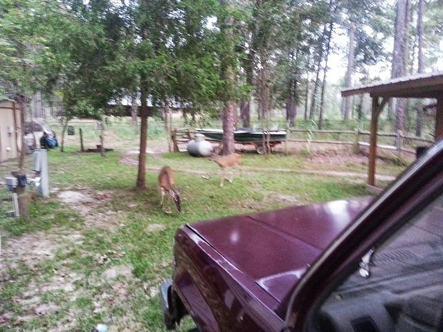 20130914 184436-edited