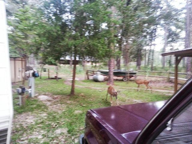 20130914 184442-edited