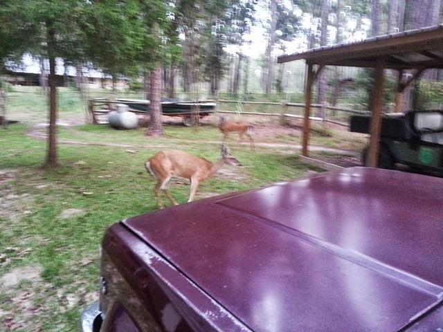 20130914 184457-edited