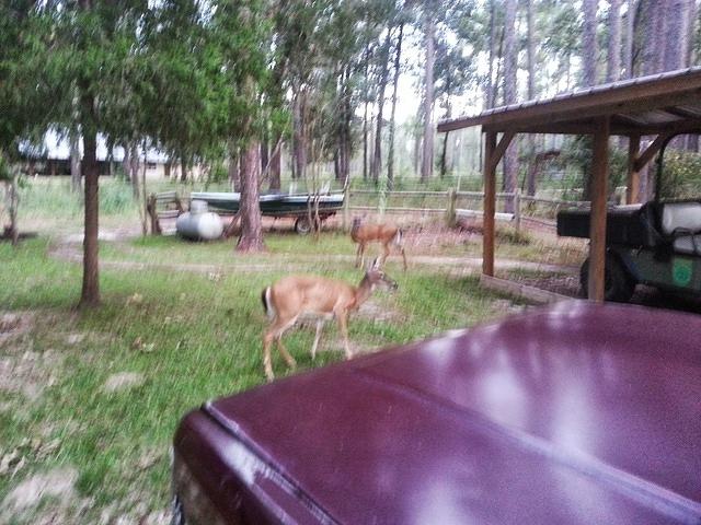 20130914 184459-edited