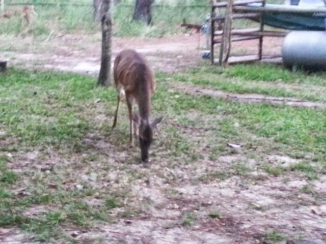 20130914 184852-edited