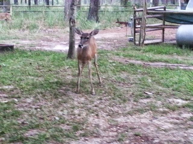 20130914 184855-edited