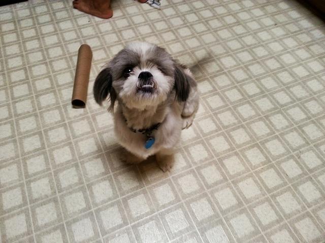 20130916 181432-edited