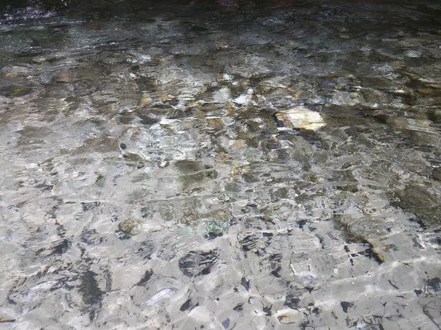 IMG 20150613 124758