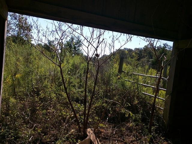 IMG 20150919 102820