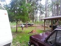 20130914 184410-edited