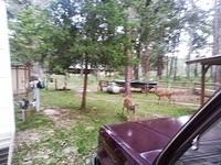 20130914 184442-edited