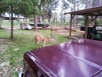 20130914 184457-edited