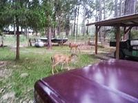 20130914 184459-edited