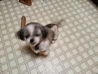 20130916 181428-edited