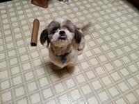 20130916 181432-edited