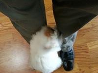 20140516 131804-edited