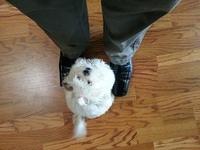 20140516 131809-edited