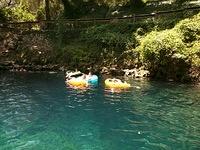 IMG 20150619 123145