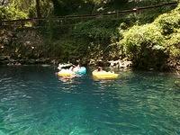 IMG 20150619 123146