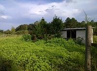 IMG 20150806 183428