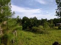 IMG 20150806 183440