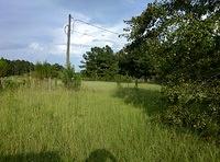 IMG 20150806 183909