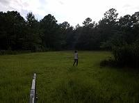 IMG 20150806 183920