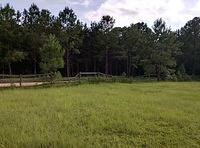 IMG 20150806 183924