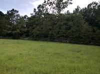 IMG 20150806 184012