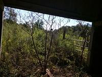 IMG 20150919 102820