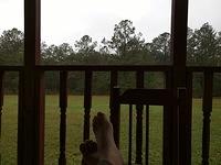 IMG 20151108 140137