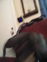 IMG 20161210 192210